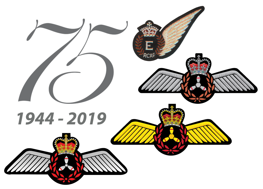 The Canadian Military Flight Engineers Association (CMFEA)